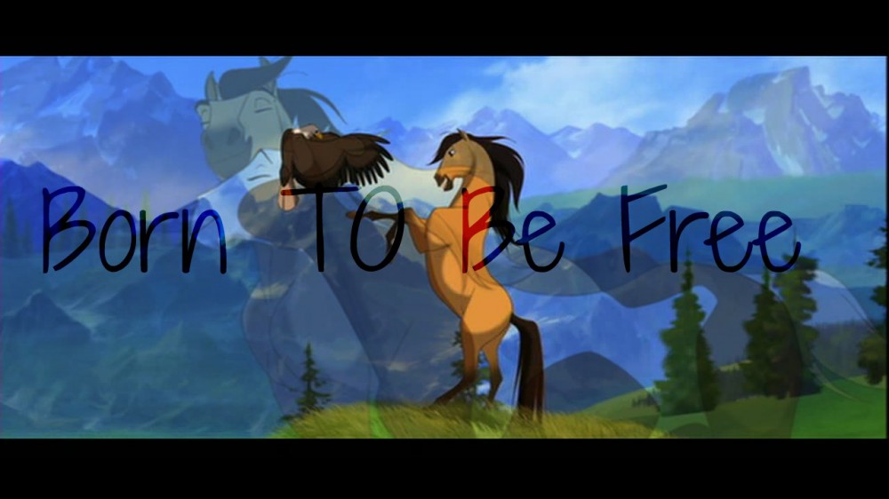 Born To Be Free
