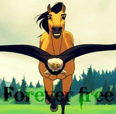Forever Free