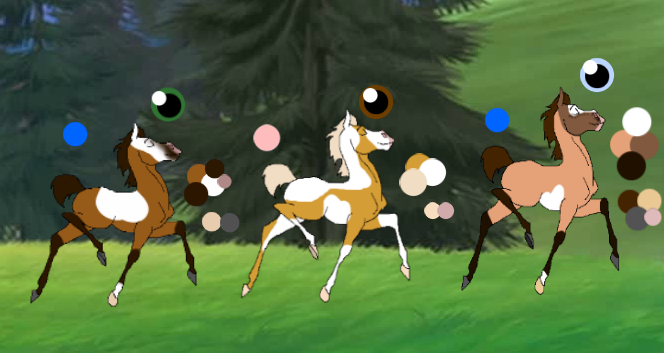 Spirt x Rain foals
