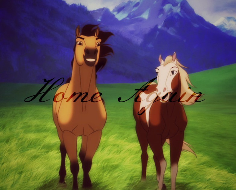 Home Again