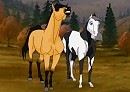 Umbra x Pluto