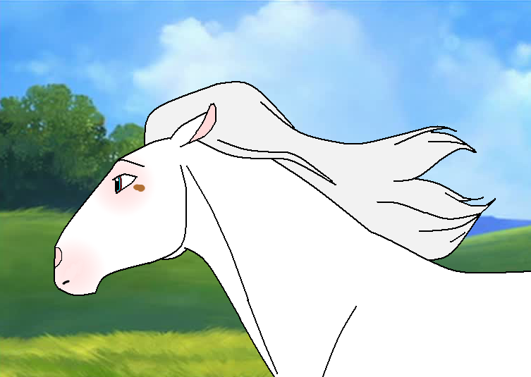 new gal