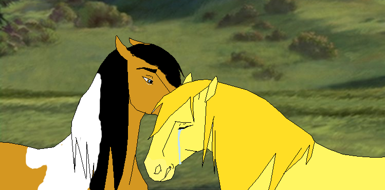 Don't cry... please.