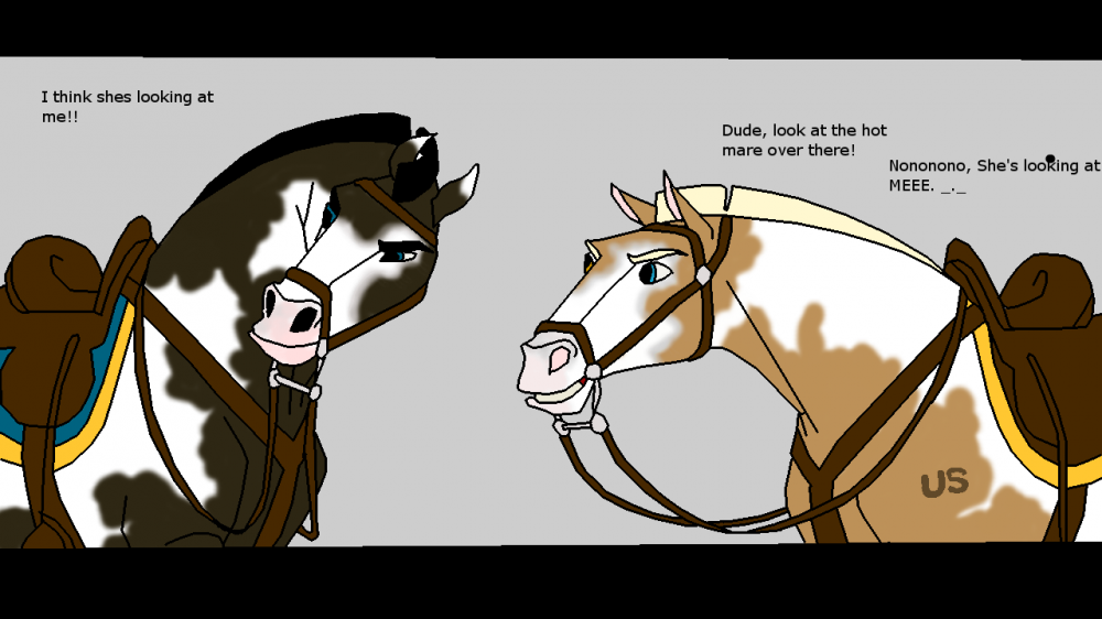 Calvary paint horses- Adoptables