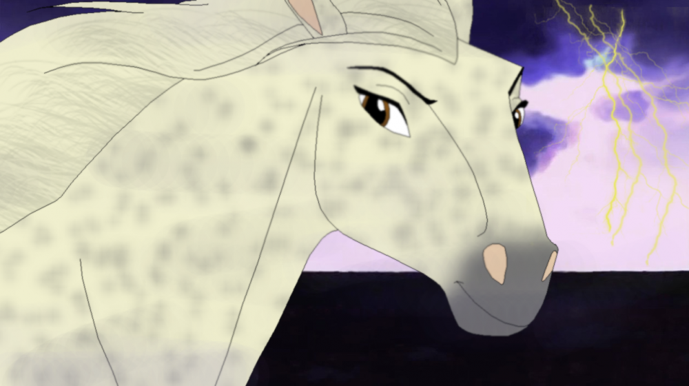 Misty, of the Cimarron.