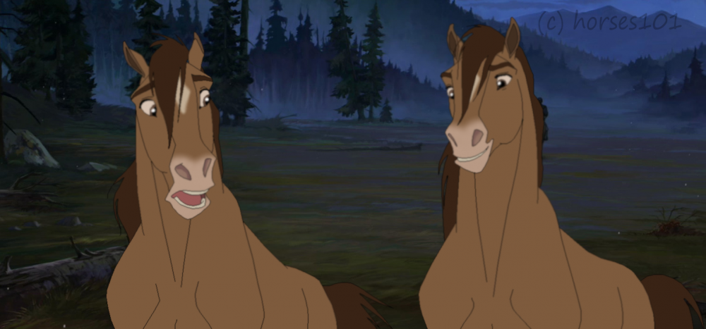 The Twins