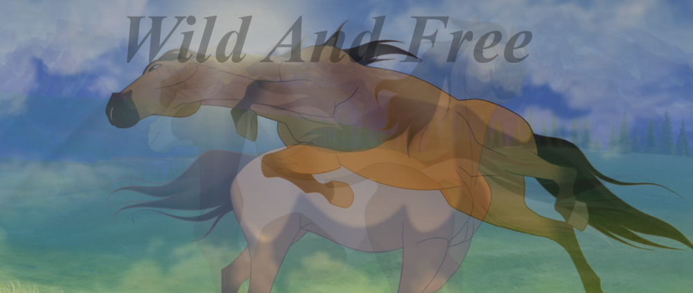 Wild And Free