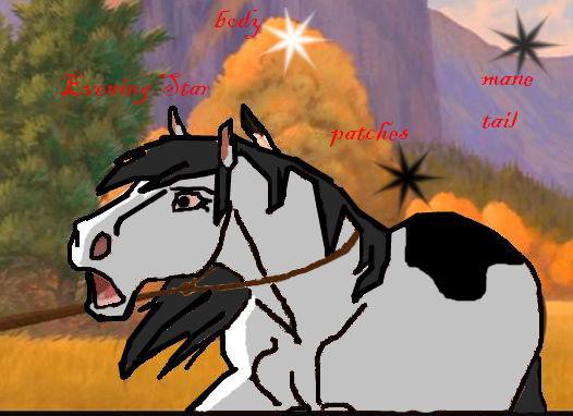 evening star ref sheet
