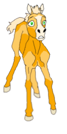 SpiritxRain foal?
