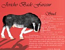 Stud: Jericho Bade Farceur