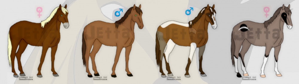 Adoptables