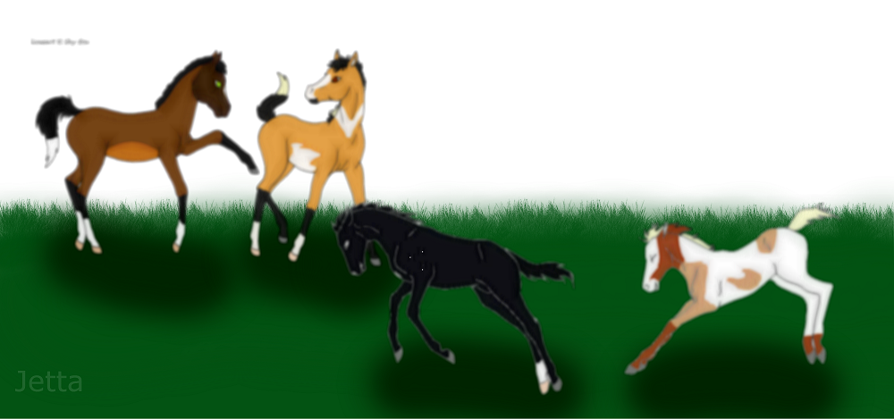 Sierra's Foals :)