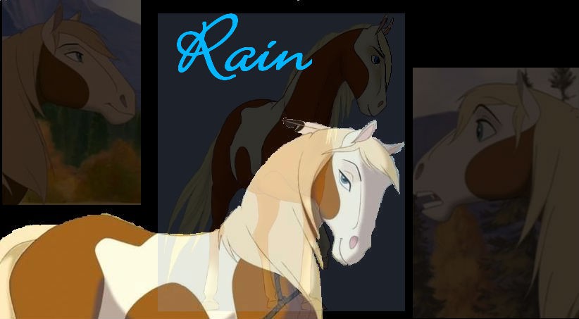 Rain Siggy
