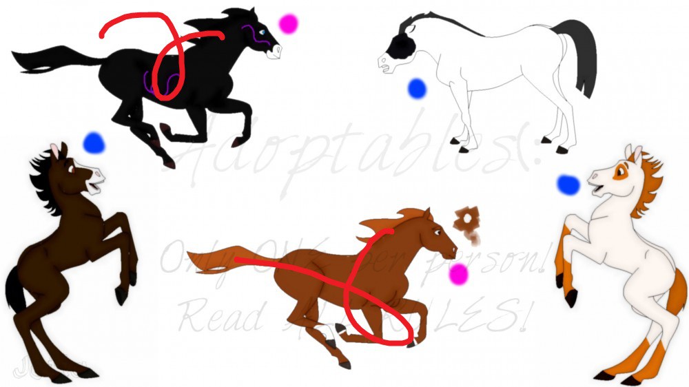 Adoptables!!