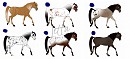 Possible New Characters~