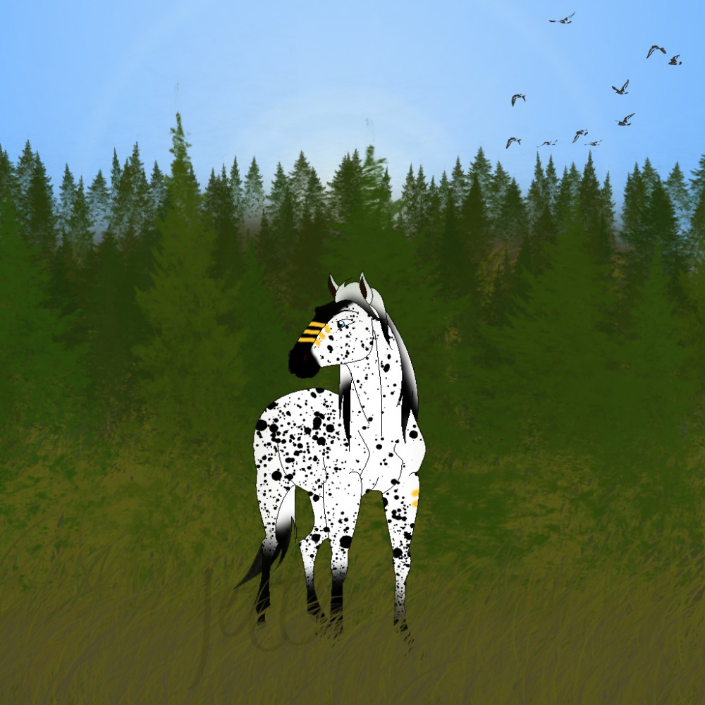 ~Photoshop Practice~