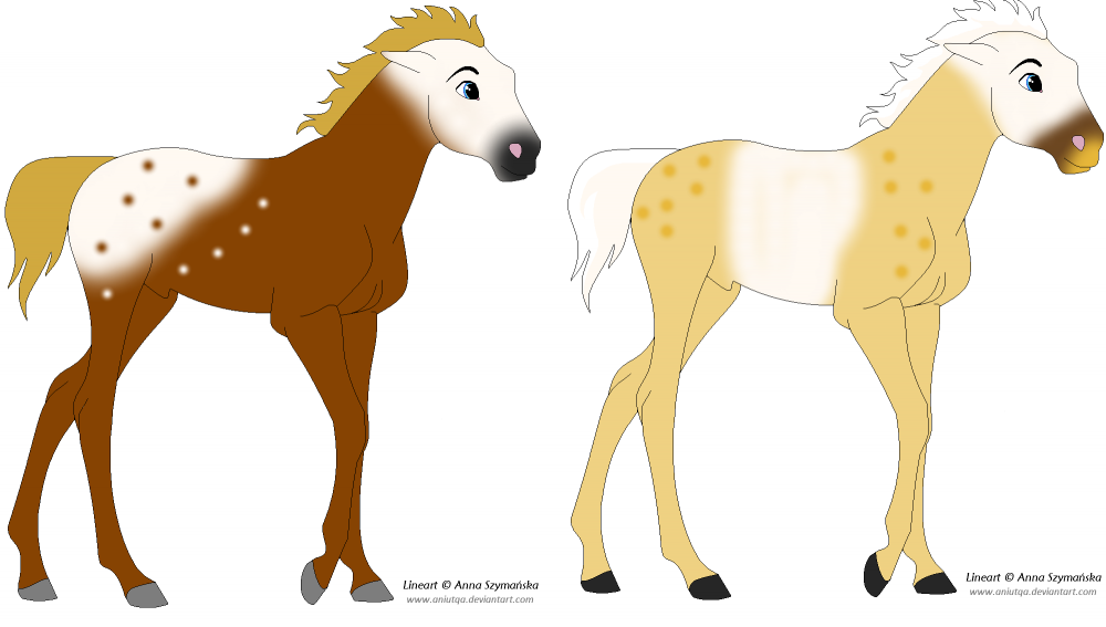 Adoptables!