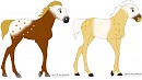 Adoptables!
