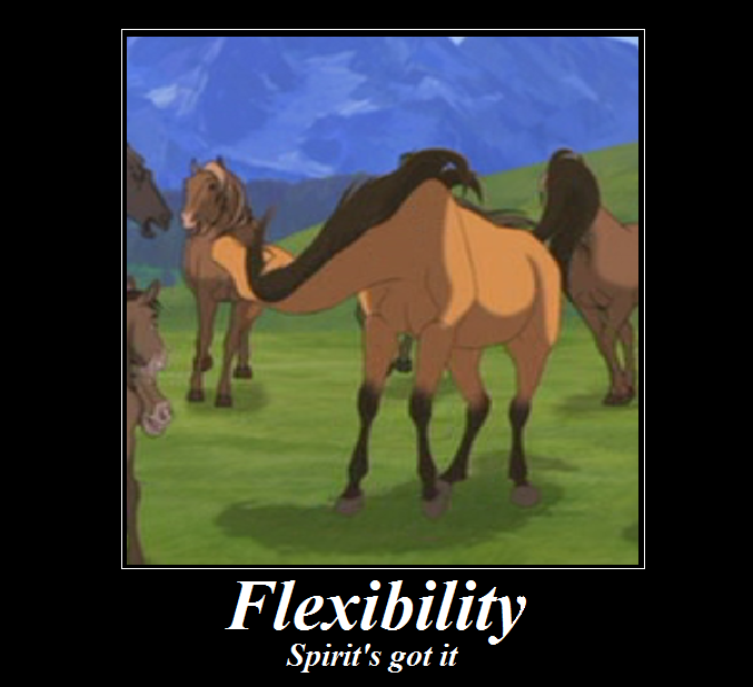 Flexibiliy