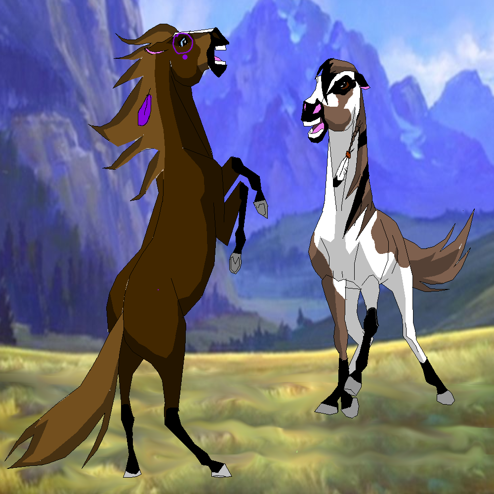 stallion fight
