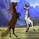 stallion fight