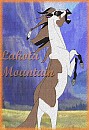 for HayleyWolf