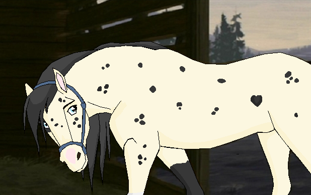Bullet my herd leader