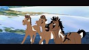 Young Day, Young Foals...
