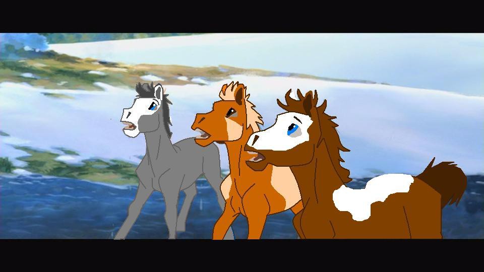 The three foals on the water