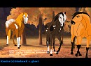 Movie Scene - Sugar, Cabs and Spirit