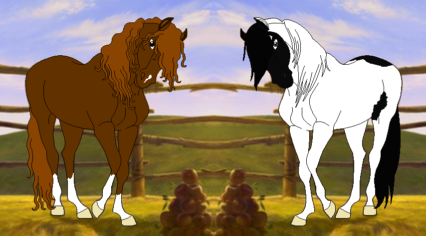 Stallions