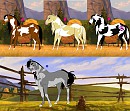 Adoptables
