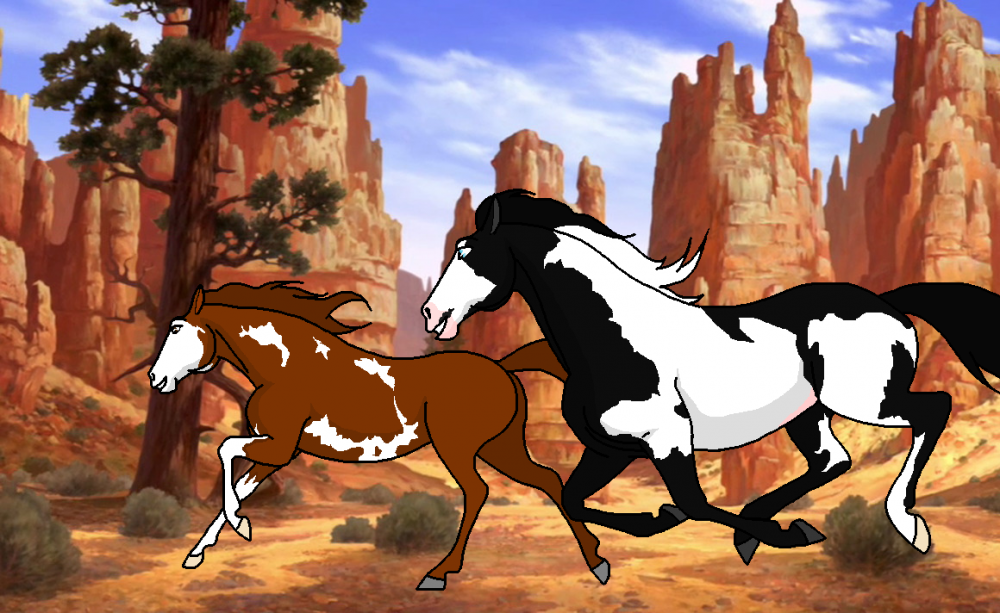 Desert Ladies // HayleyWolf Design Request