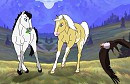 In the Field