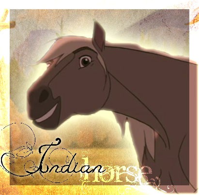 Cheval Indien-Avatar