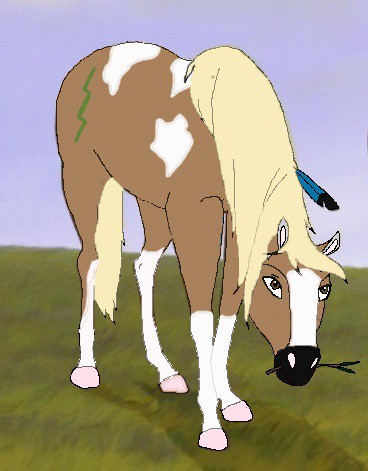 New Mare: Boomerang.