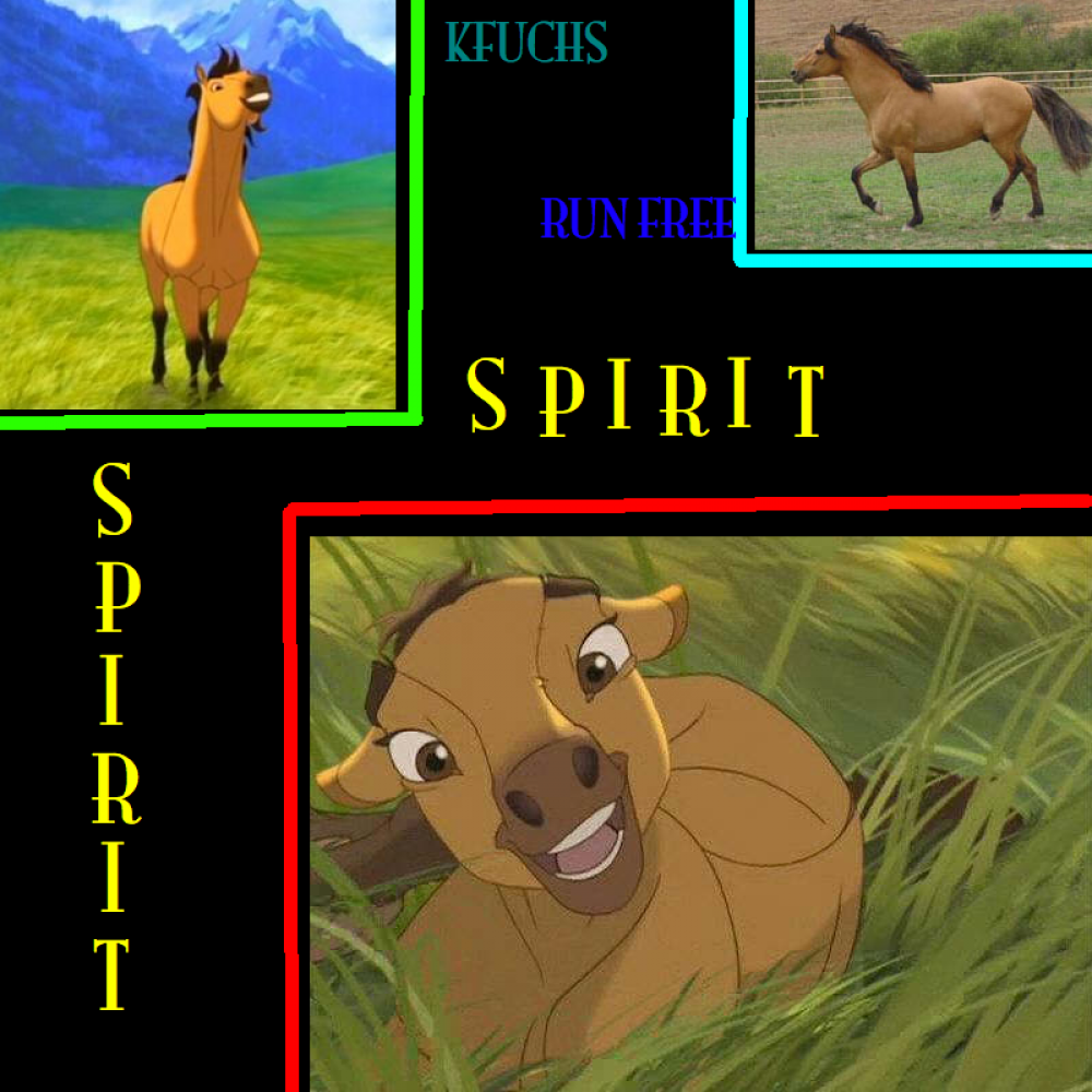 Spirit