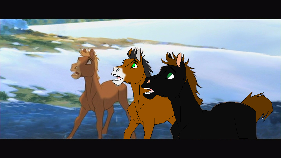 Apollo and Jersey's foals