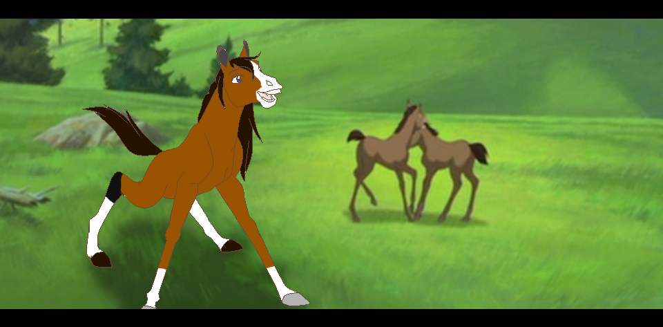 Sweet filly