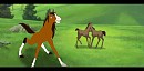 Sweet filly
