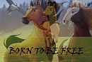 Born to be Free
