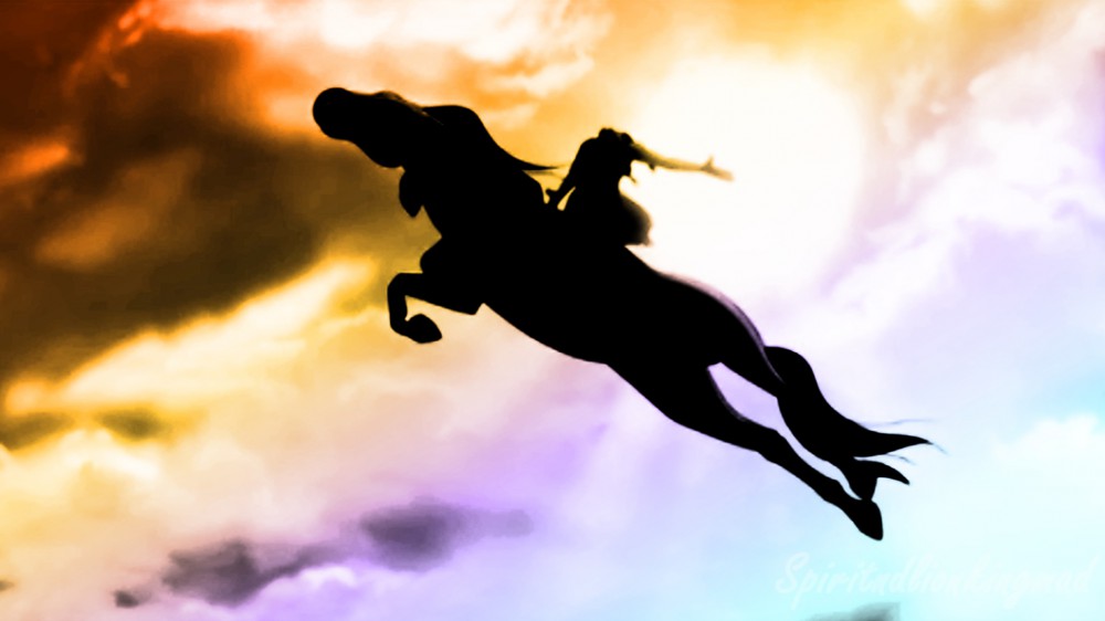 Soaring with colour