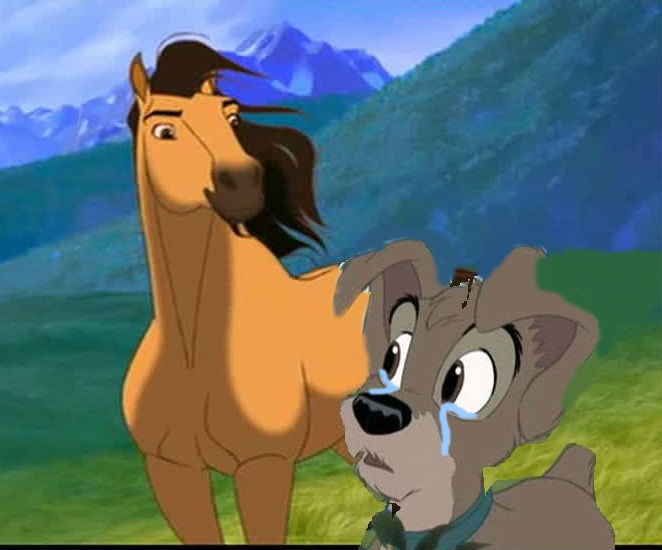 Spirit Meets Scamp