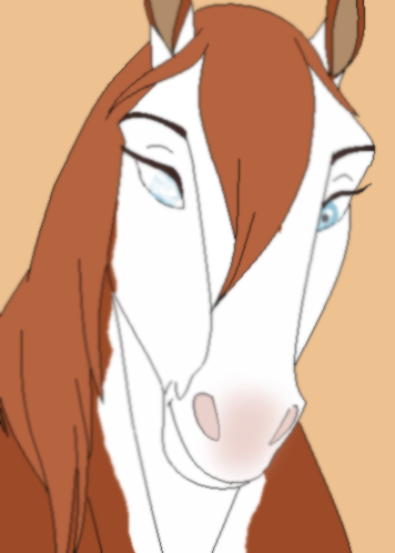 Kora