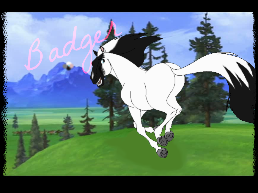 My new mare~