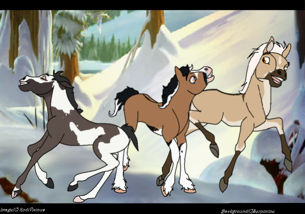 My new foals 