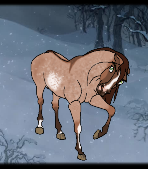 3rd Place