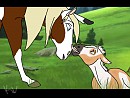 My Rain and Spirit foal