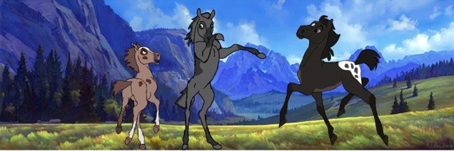Dragon and jessy foals
