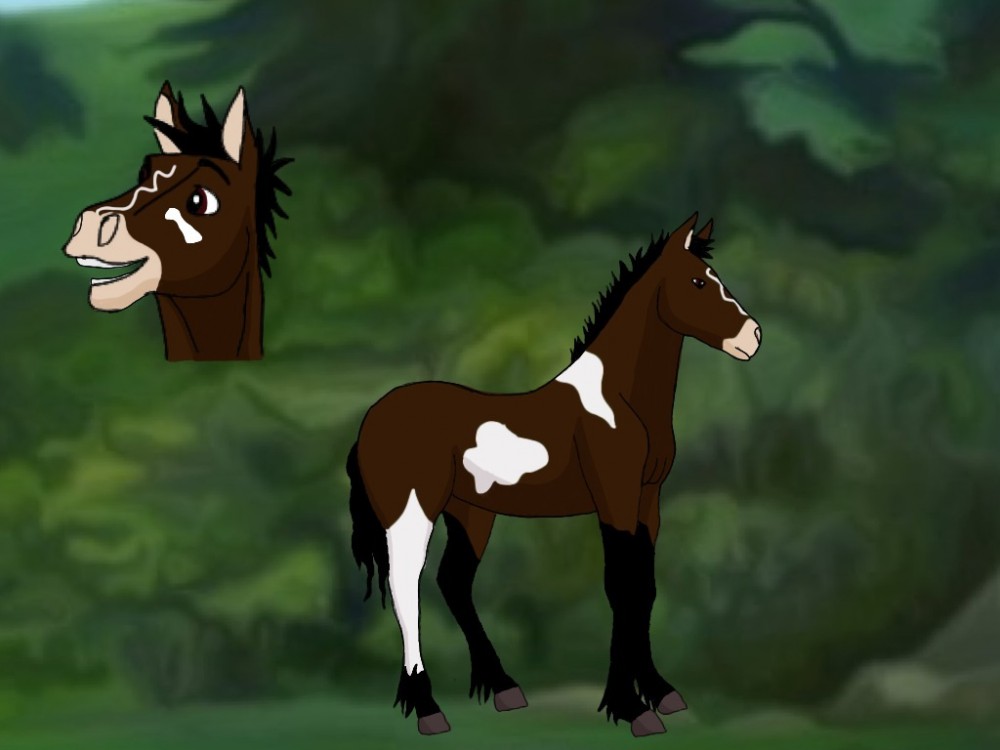 Fan foal